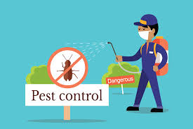 Expertise in Pest Control Services